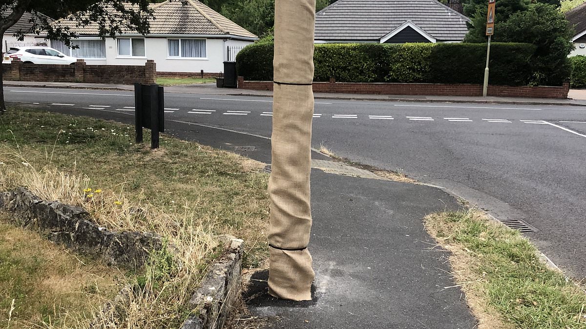 Pensioner raises health concerns after 32-foot internet mast goes up outside Eastleigh home