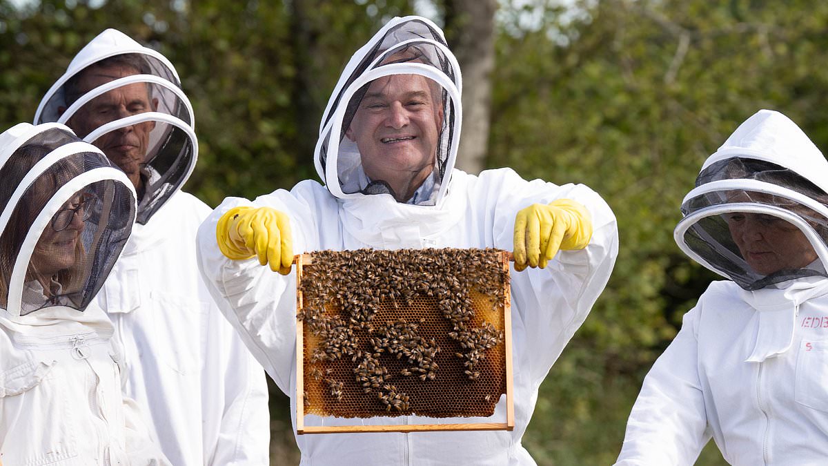 Lib Dem conference blends spectacle with policy push as Ed Davey leans into stunts