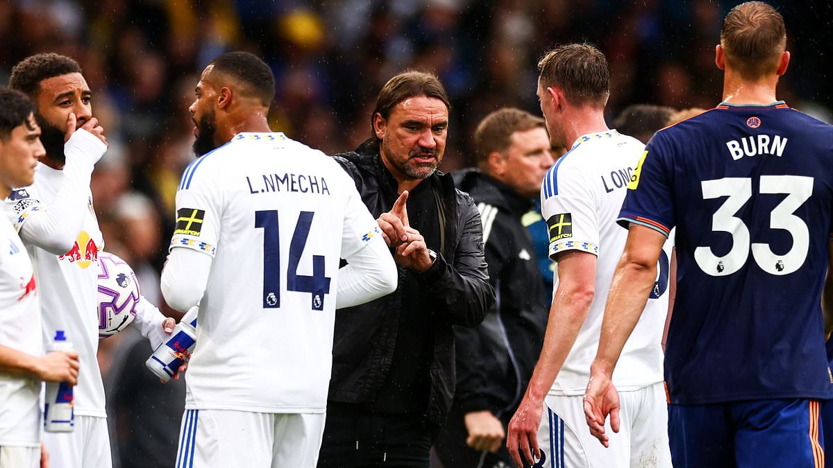 Farke urges Leeds not to play victims after deadline-day transfer disappointment