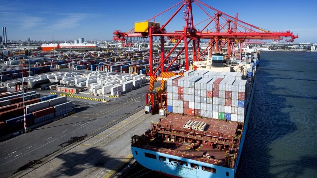 Australian dock worker wins unfair dismissal case, reinstated at Qube Ports