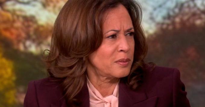 Harris says View moment not tipping point; argues economy weighed in 2024 race