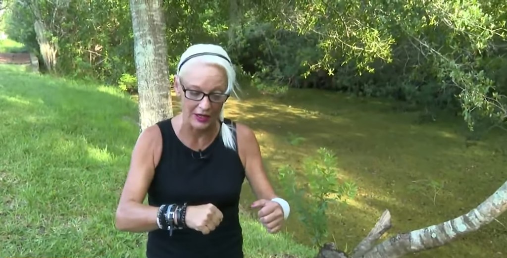 Alligator in shallow water