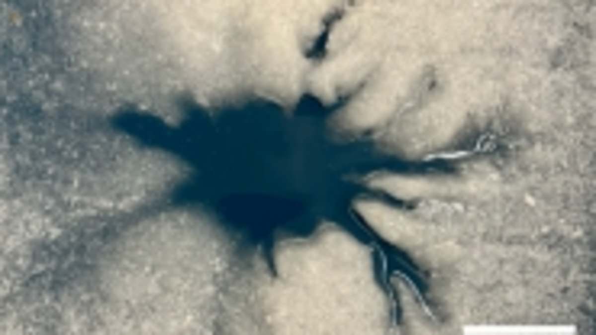 Wall demon on Europa hints at life-favorable brine, study says