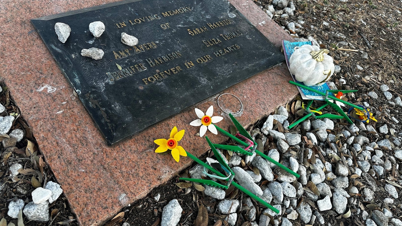 DNA ties new suspect to Austin yogurt shop murders; Brashers identified posthumously