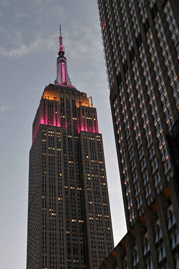 Policy reform collage