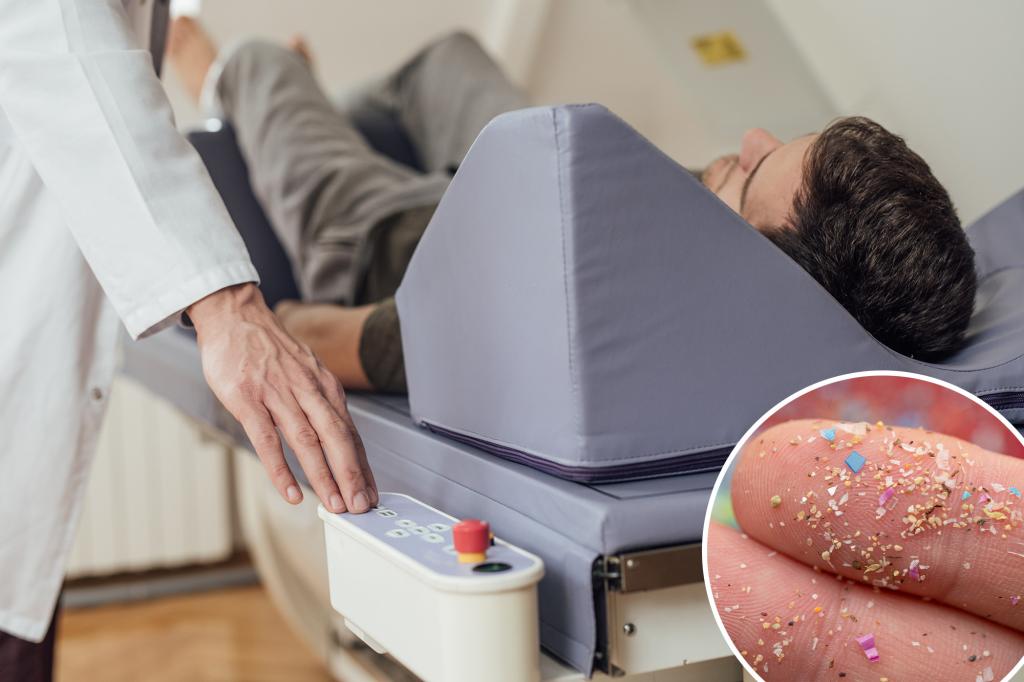 Microplastics can reach deep into bone tissue, Brazilian study suggests