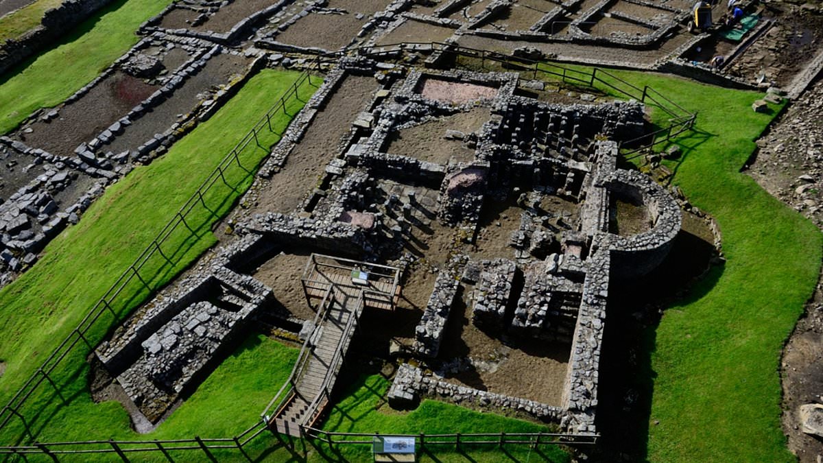 Parasites found in Vindolanda drains point to tummy troubles among Hadrian's Wall soldiers