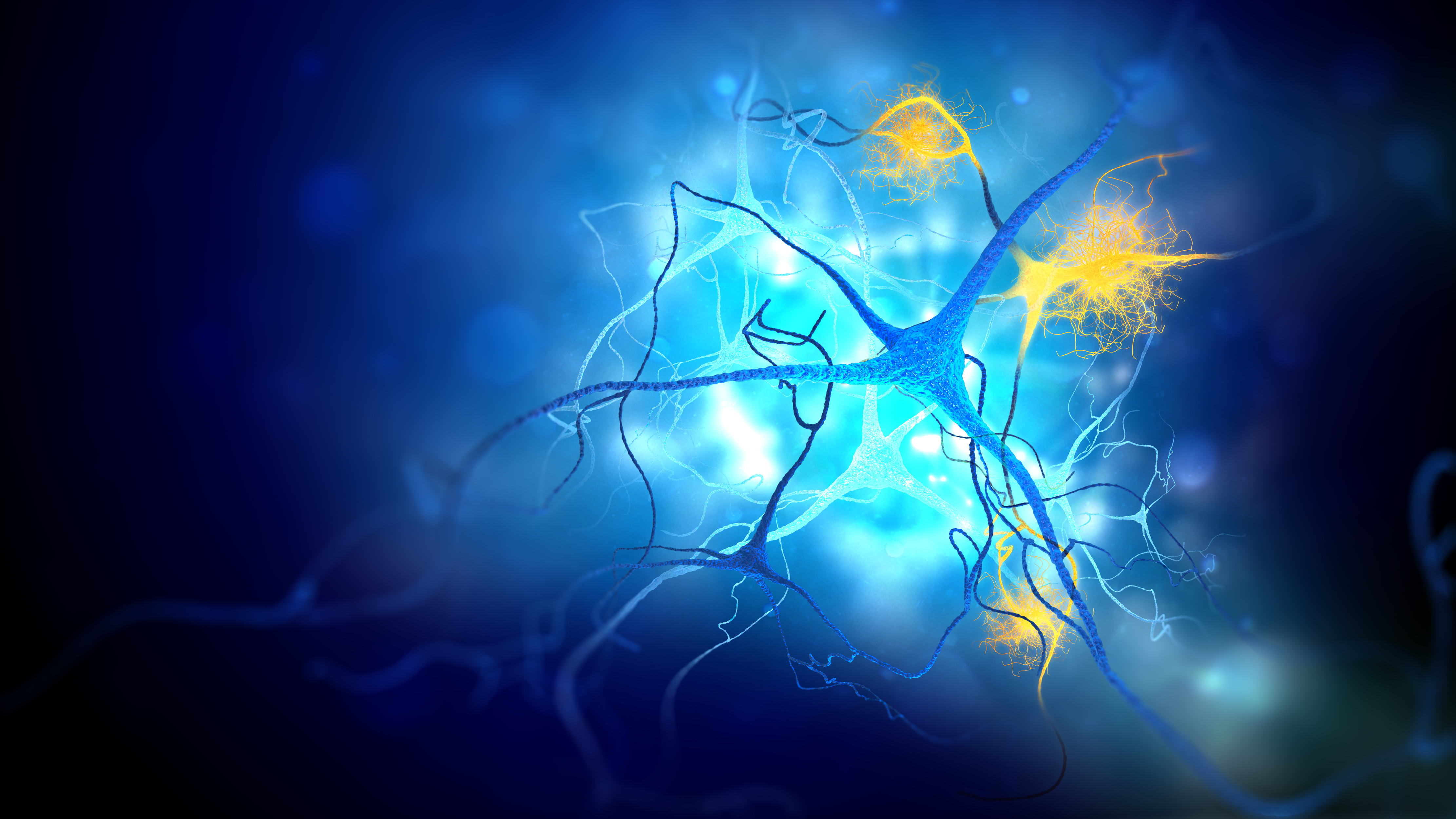 Advanced MRI technique may identify Alzheimer’s risk years before symptoms