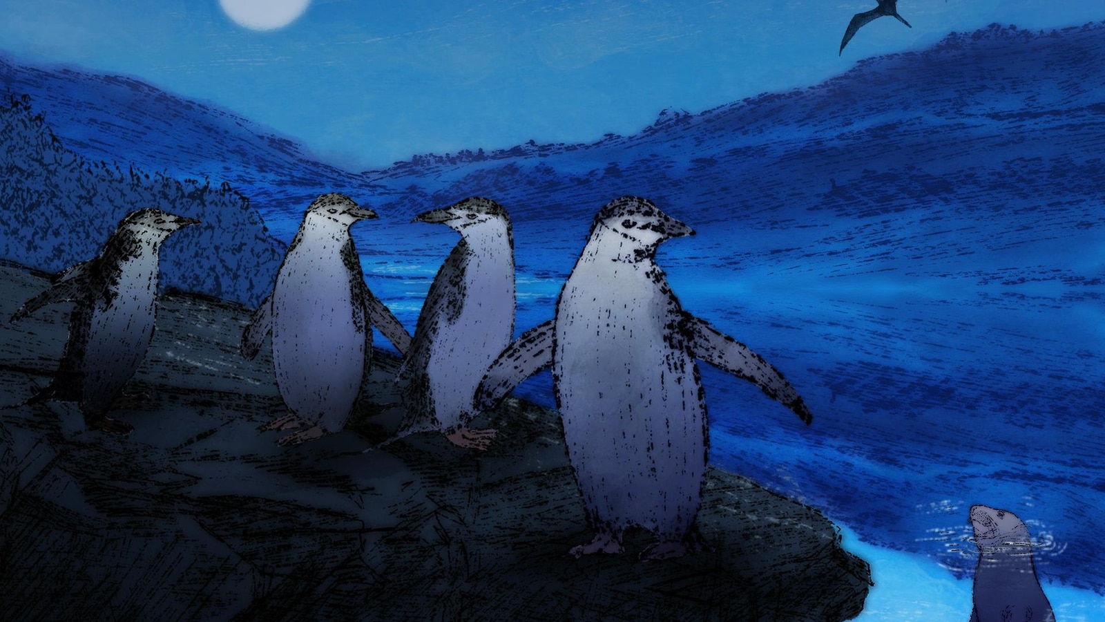 Extreme sleep adapts to perilous environments, from penguin colonies to aloft seabirds