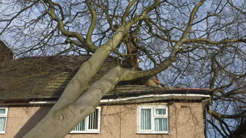 Which? launches super-complaint against 'broken' insurance industry