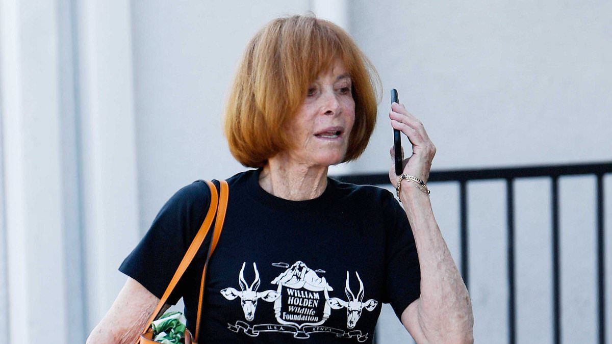 Stefanie Powers, Hart to Hart star, spotted in casual Los Angeles outing at 82