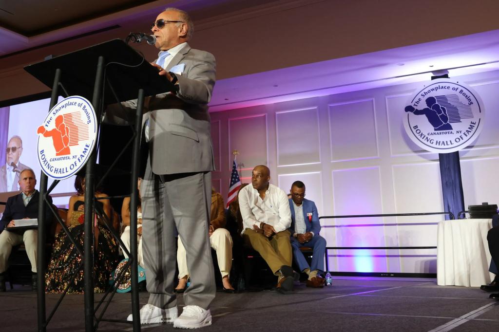 Ex-New York boxing commissioner says the sport has become ‘more a ballet’ and urges tighter care for fighters