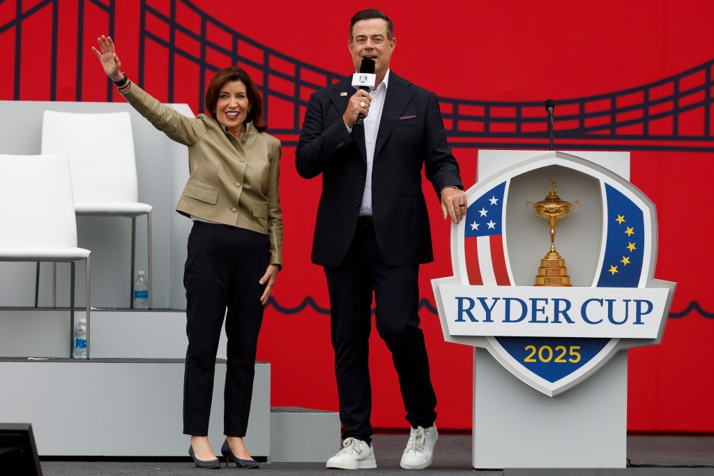 Hochul collage (additional image)