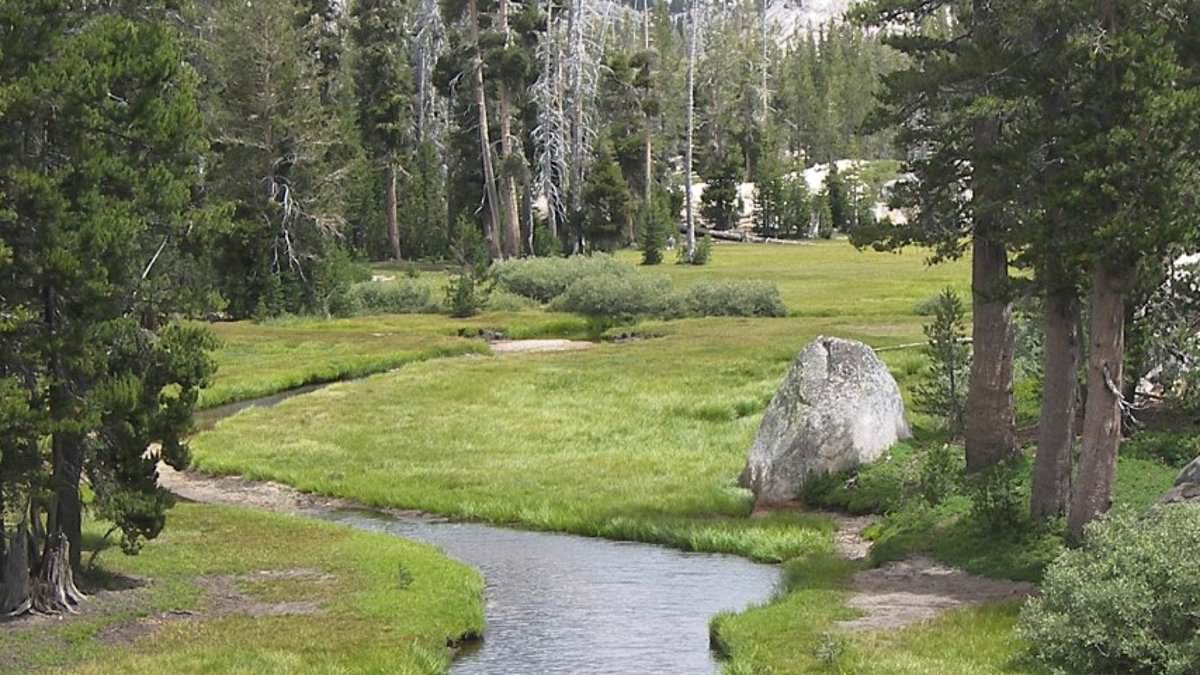 Emigrant Wilderness Offers Yosemite-Style Scenery With Far Fewer Visitors