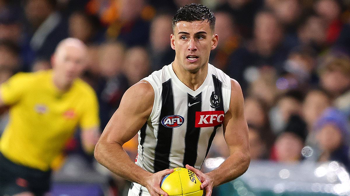 Footy fans push back after Caroline Wilson criticises players' on‑air swearing