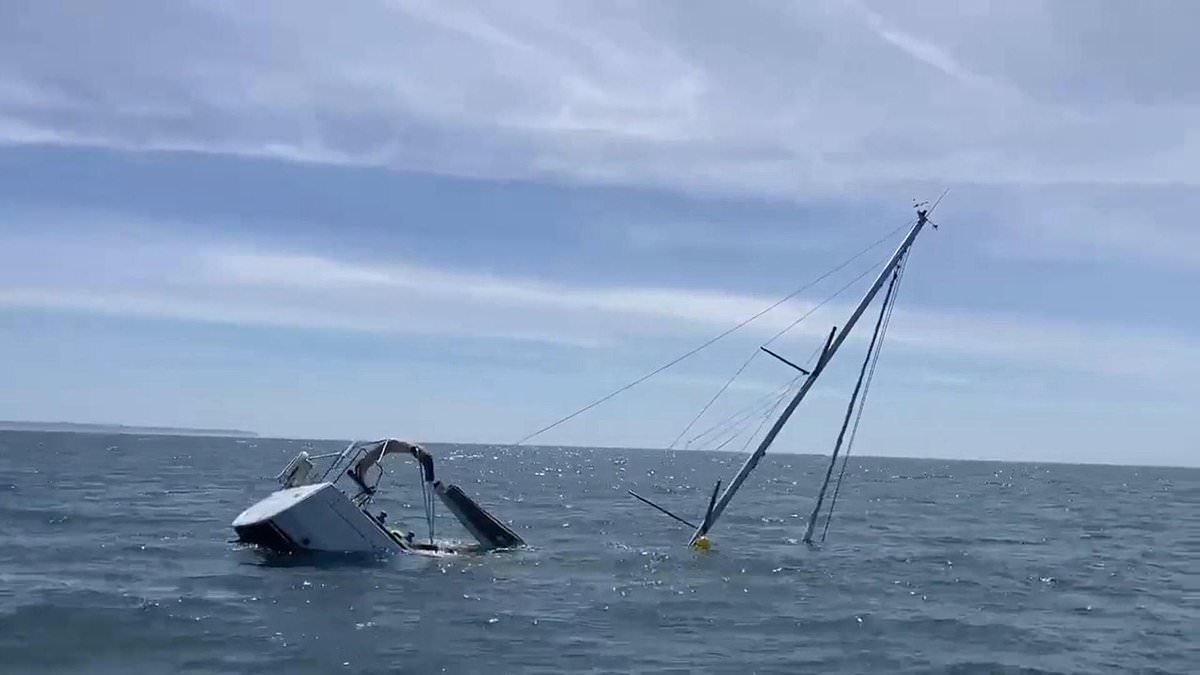 Portuguese coastguard rescues second sailboat after orcas sink tourist vessel off Lisbon