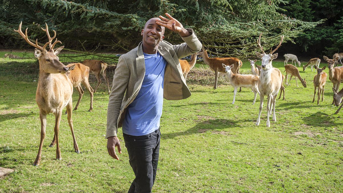 Tech tycoon alleges deer killings at Norfolk RAF base tied to stalker amid harassment claims