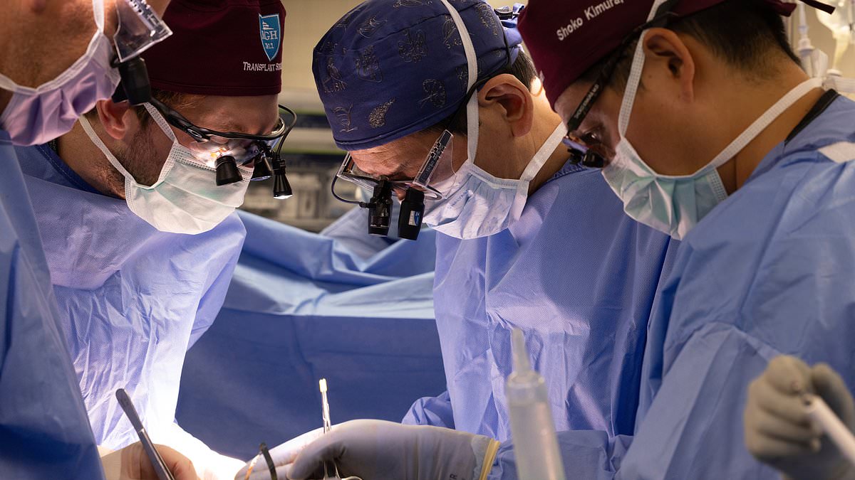 FDA Clears First Clinical Trials of Gene‑Edited Pig Kidneys for Human Transplant