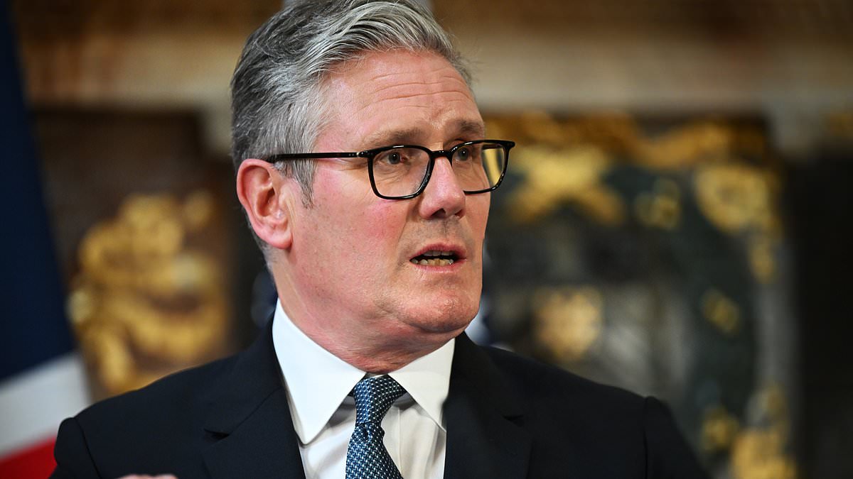 Britons fear safety of Labour's digital ID plan as poll shows broad distrust