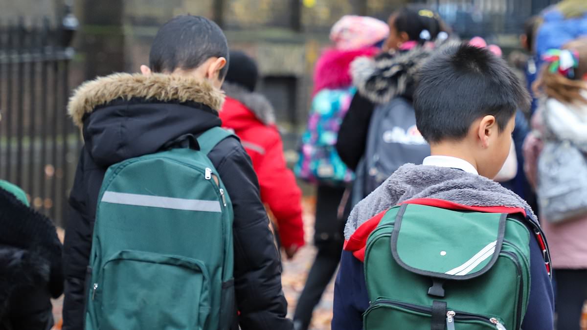 Top paediatrician warns NDIS access pressures may be driving rise in autism diagnoses