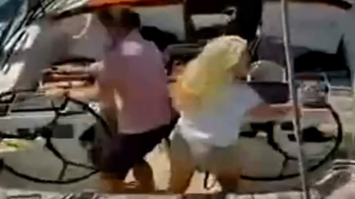 Norwegian crew survives orca attack as tourist boat sinks off Portugal