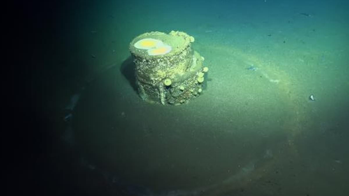 Researchers Identify Caustic Alkali in 'Halo' Barrels Off Southern California