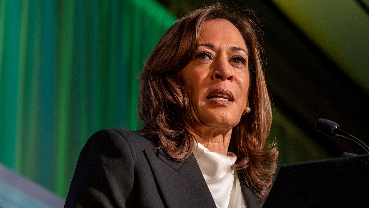 Harris Rebuts Biden Campaign Talking Points After Debacle Debate, Memoir Claims