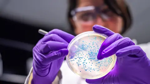 Bacteria turn waste plastic into painkillers marks biotech breakthrough