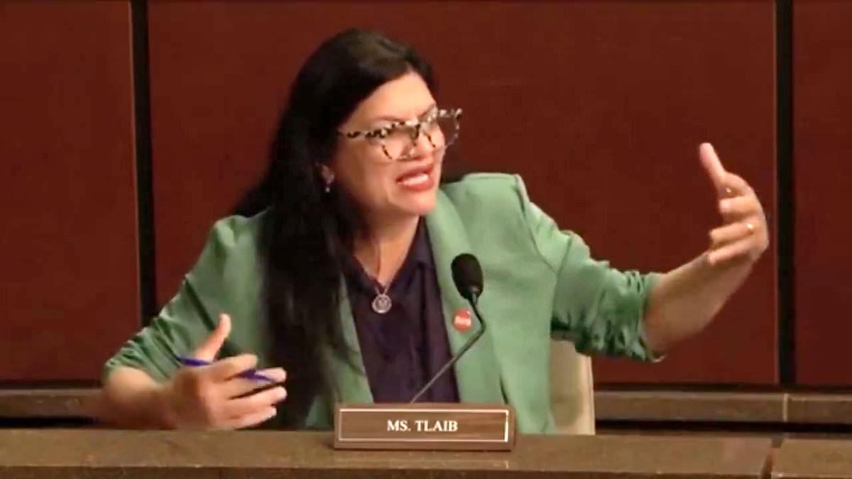 Tlaib accuses GOP of 'fascist takeover' as DC crime hearing erupts in chaotic clash