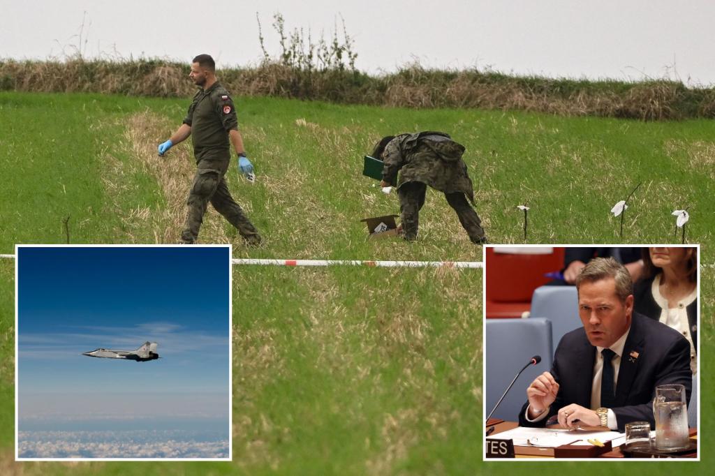 UN Security Council emergency meeting