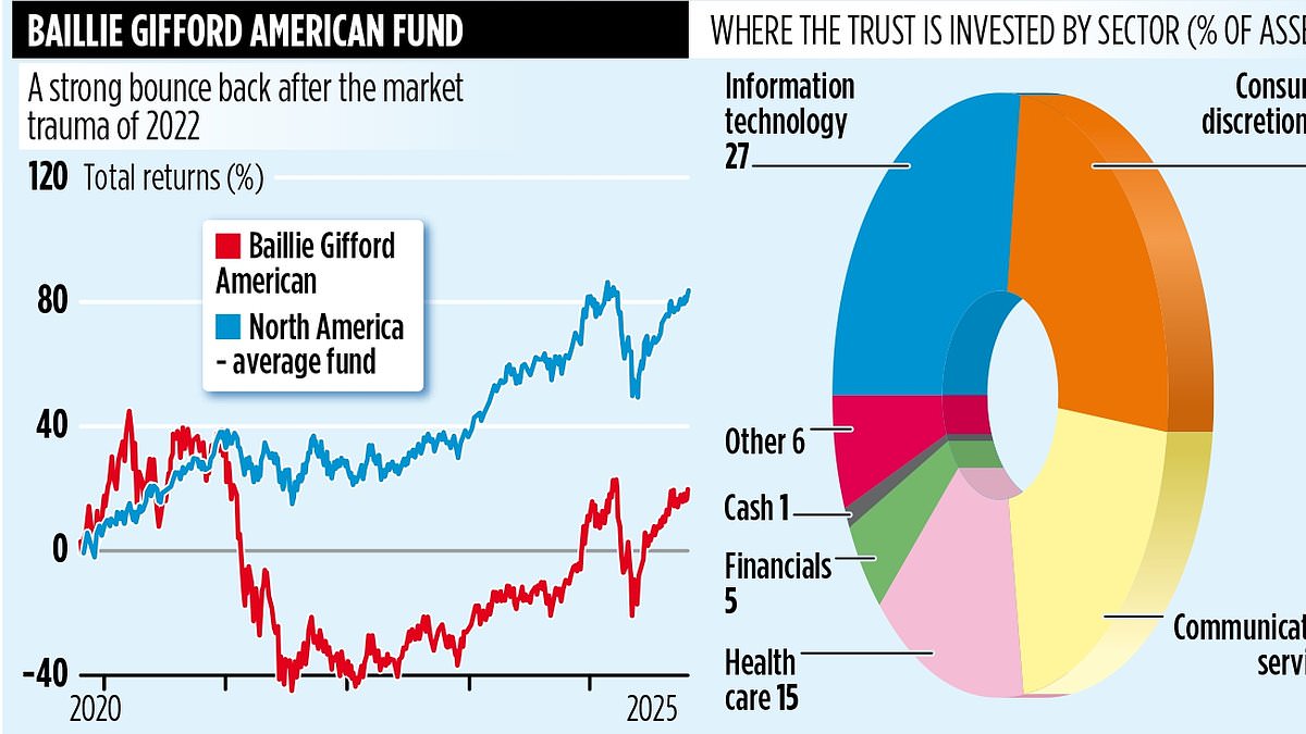 Baillie Gifford American Fund rebounds as growth names power long-term thesis