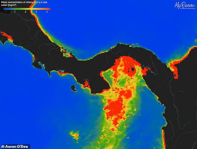 Panama Pacific upwelling fails for first time on record, threatening marine life and fisheries