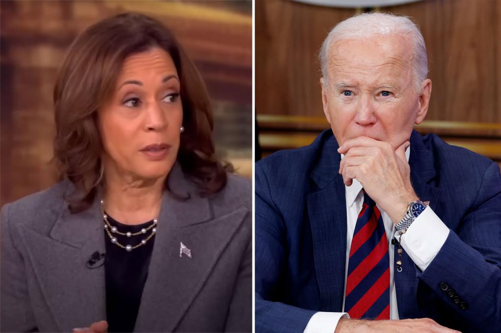 Harris says she didn’t realize she’d pulled the pin on a hand grenade with The View remarks, book reveals