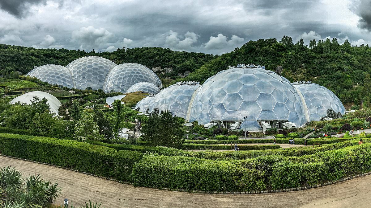 Eden Project losses more than double as visitor numbers slump