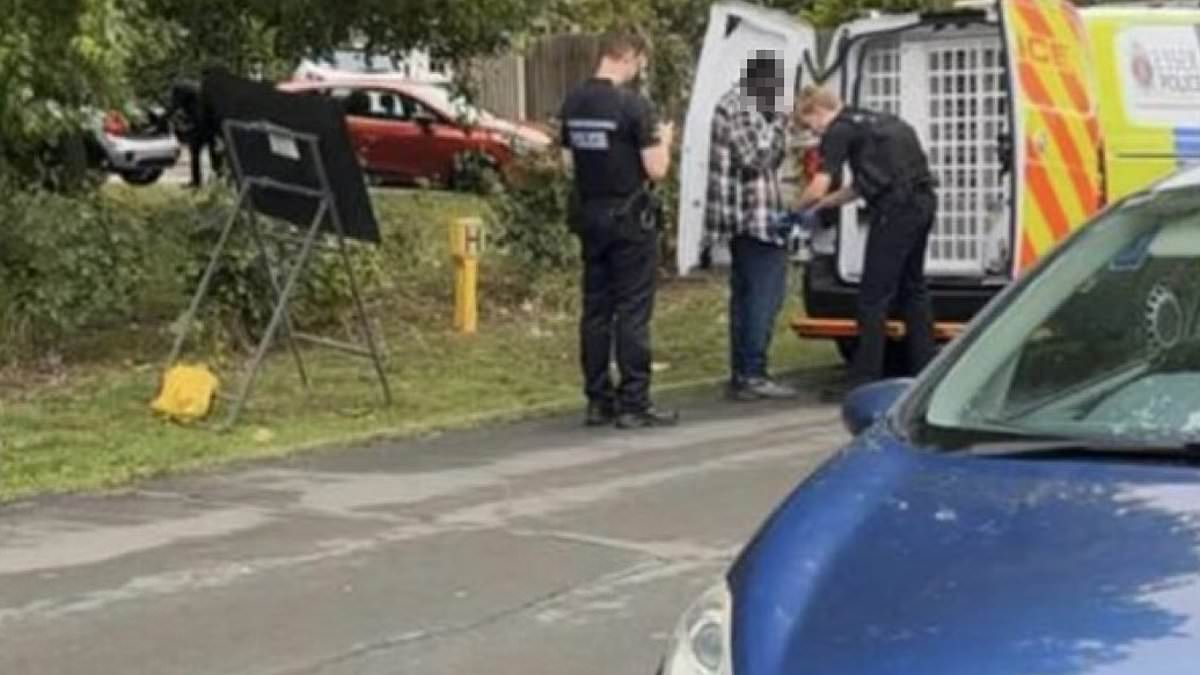 Homeless asylum seeker arrested near Davenant School after being found wandering in Loughton