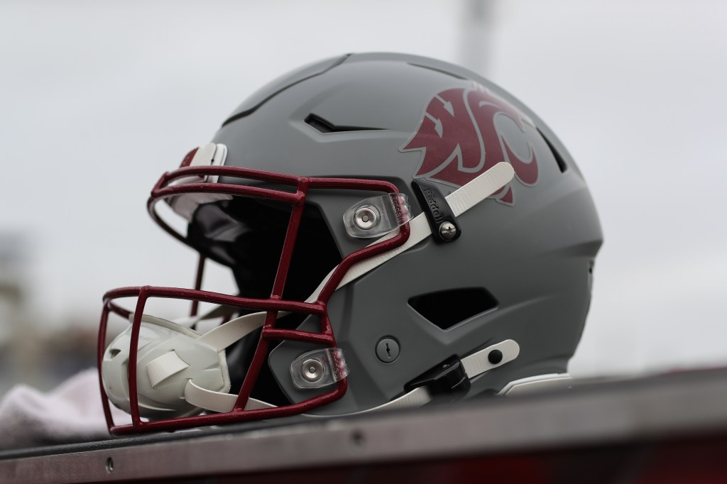 WSU helmet