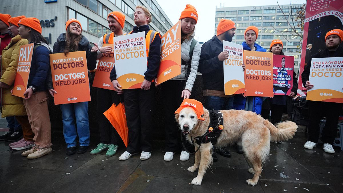 NHS Christmas strikes by resident doctors threaten care amid record flu surge