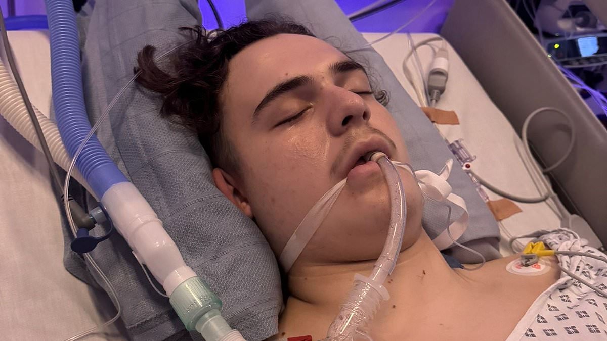 Healthy schoolboy, 14, told headaches were normal for a year before terminal cancer diagnosis