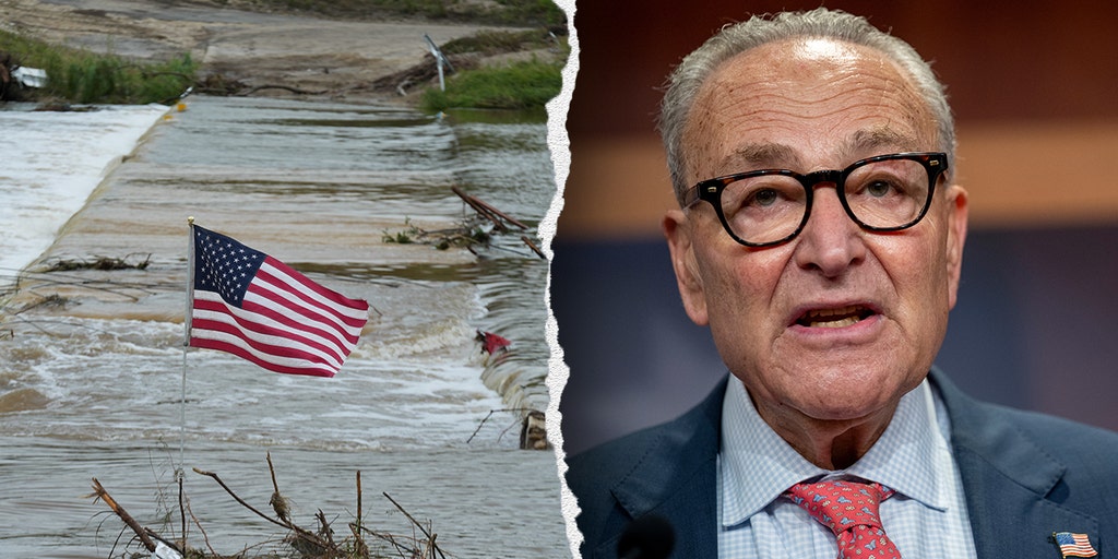 Democrats press at Capitol Hill during shutdown debate