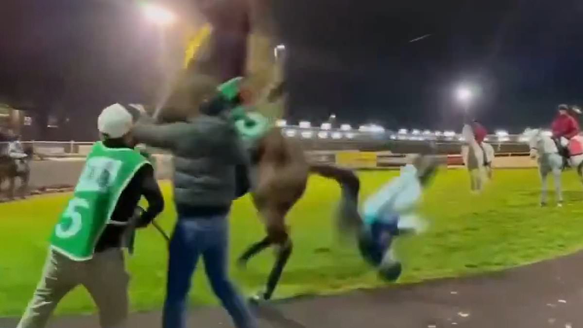 Jockey Micheal Hellyer knocked unconscious after horse headbutts him in Toowoomba parade ring