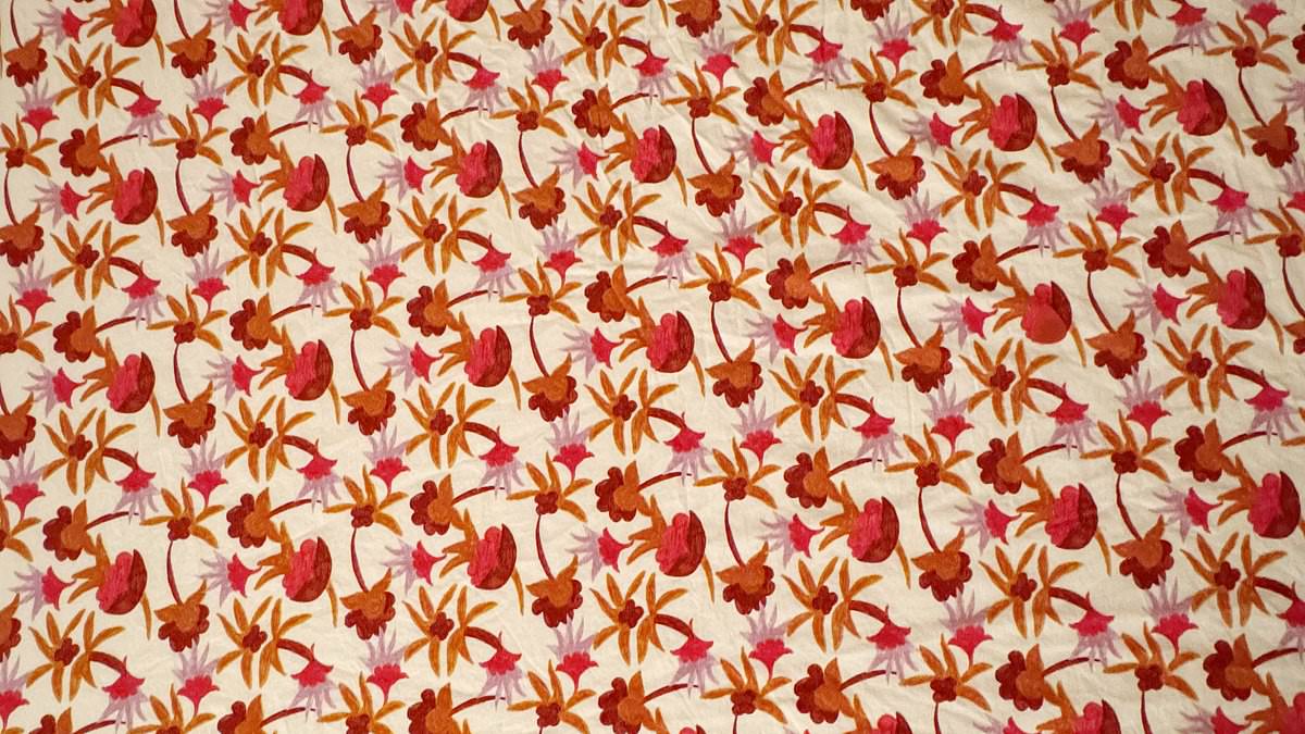 Bed-sheet optical illusion hides two guitar picks, stumping Reddit users