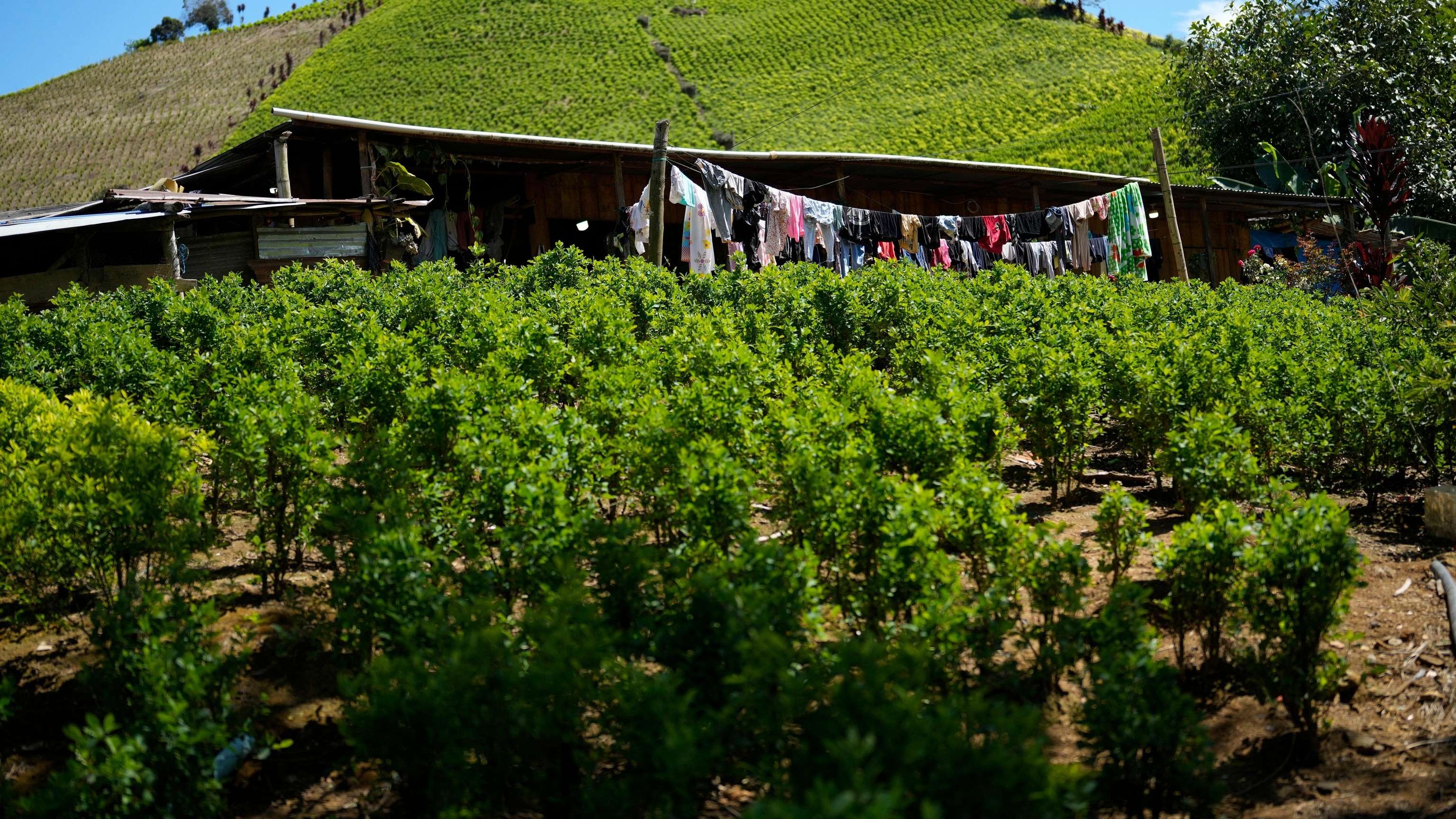 Colombia Added to U.S. Drug War 'Decertification'; President Petro Accuses Washington of Political Interference